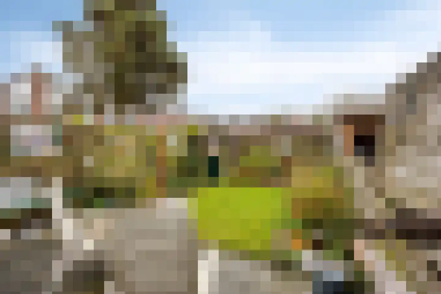 Aardster 235 Alphen aan den Rijn thumbnail 4
