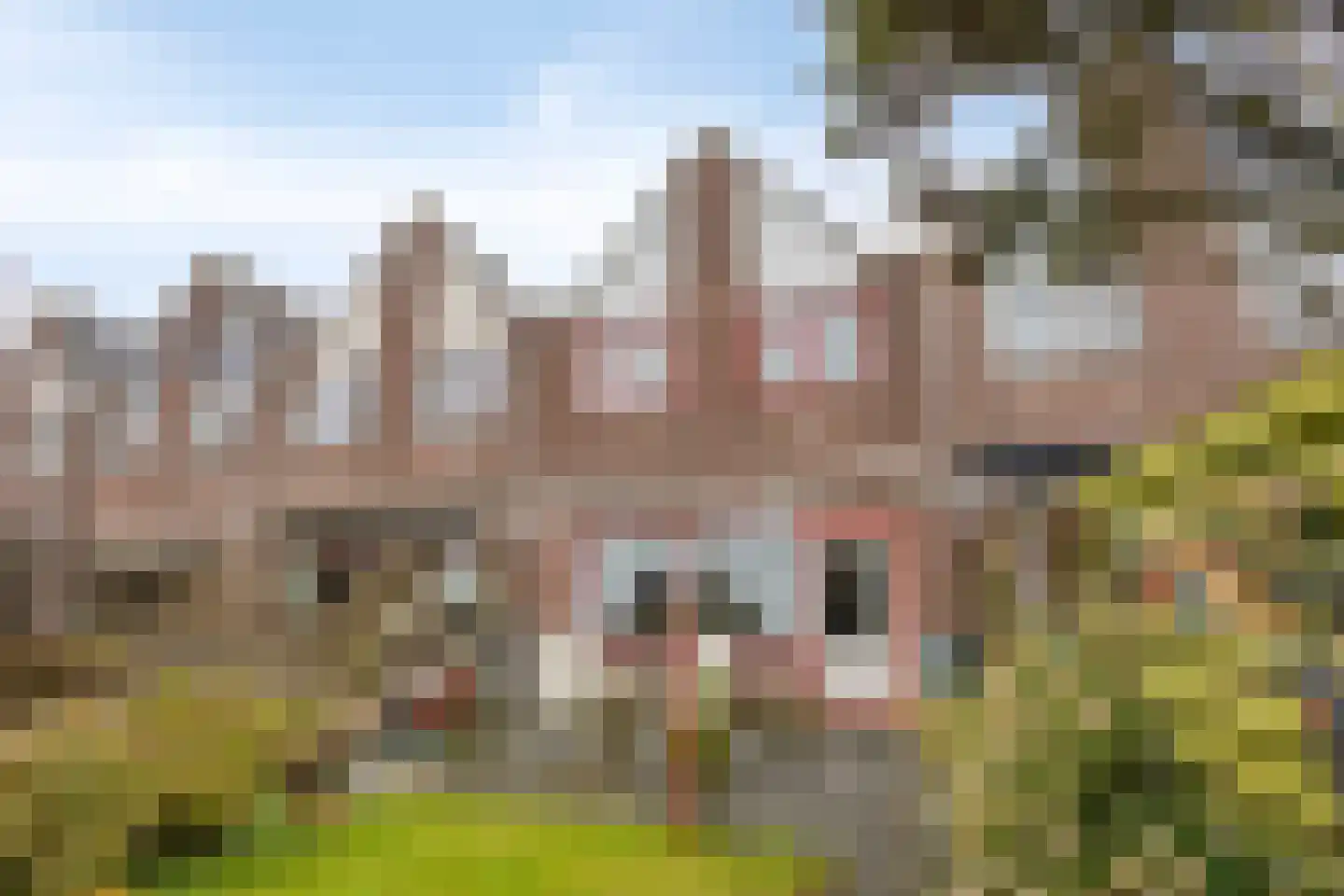 Aardster 235 Alphen aan den Rijn thumbnail 5