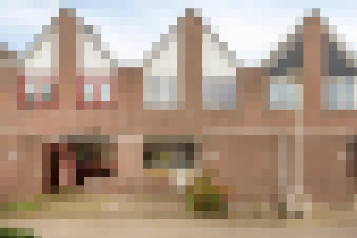 Aardster 237 in Alphen aan den Rijn