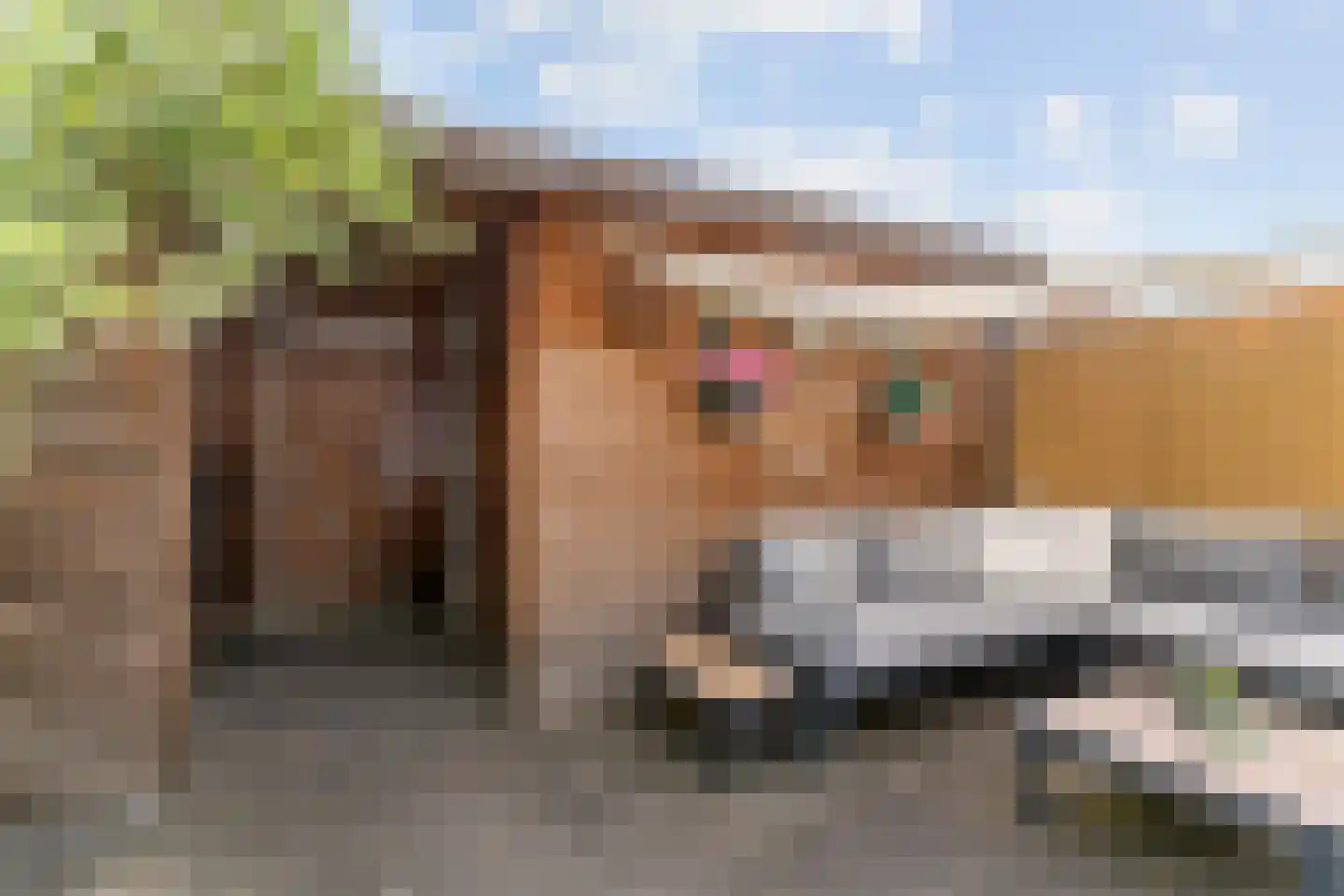Aardster 24 Alphen aan den Rijn thumbnail 26