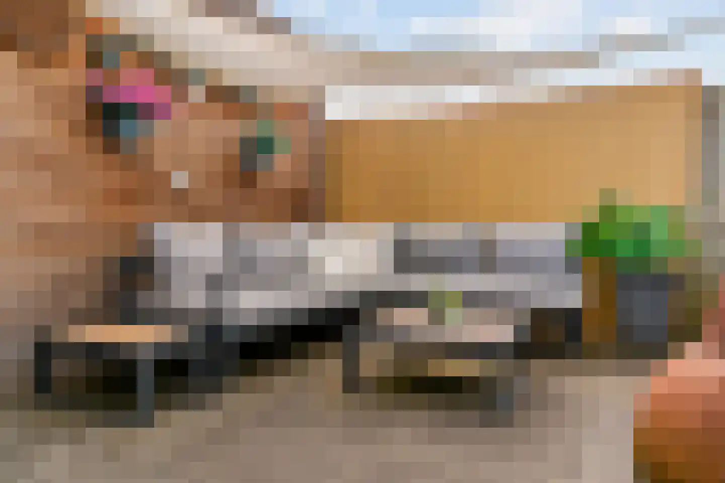 Aardster 24 Alphen aan den Rijn thumbnail 27