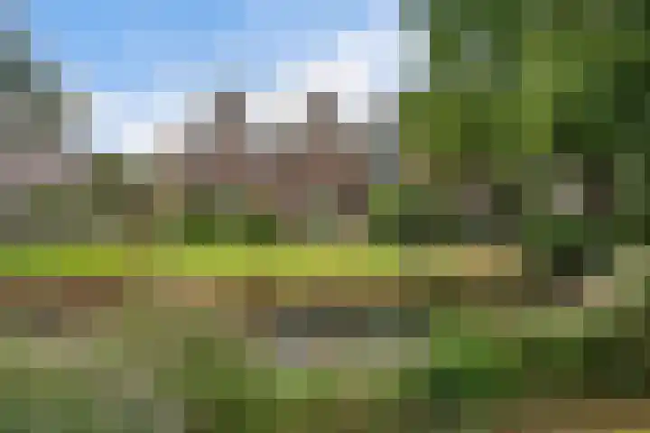 Aardster 247 in Alphen aan den Rijn