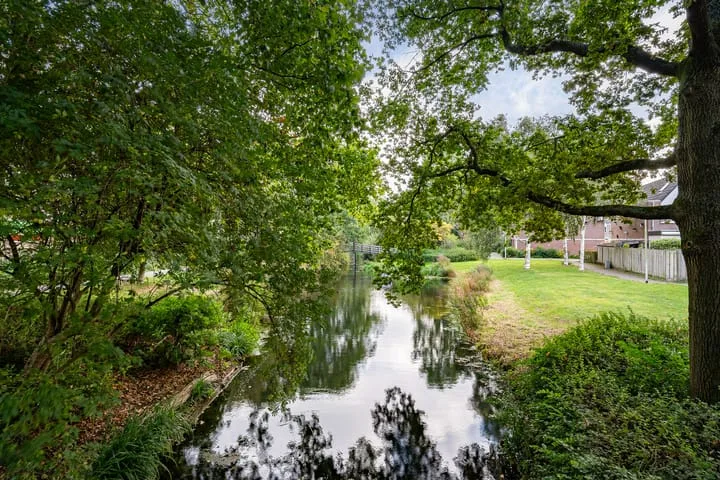 Aardster 247 Alphen aan den Rijn thumbnail 30