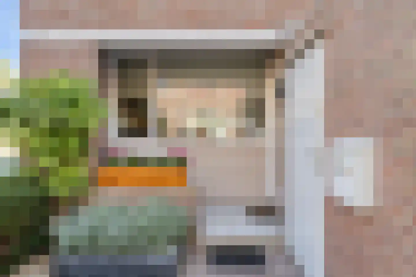 Aardster 253 Alphen aan den Rijn thumbnail 11