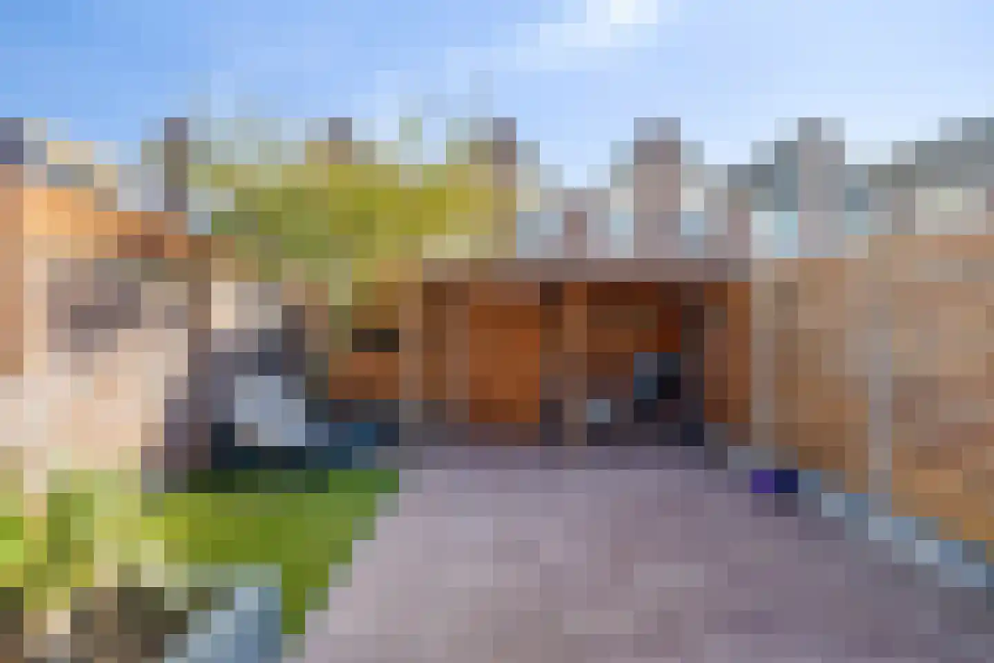 Aardster 253 Alphen aan den Rijn thumbnail 32