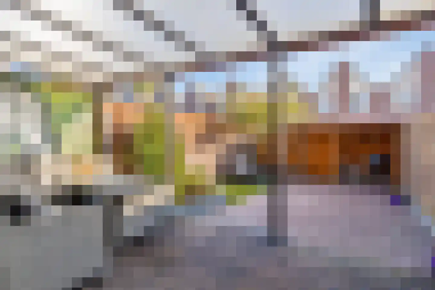 Aardster 253 Alphen aan den Rijn thumbnail 7