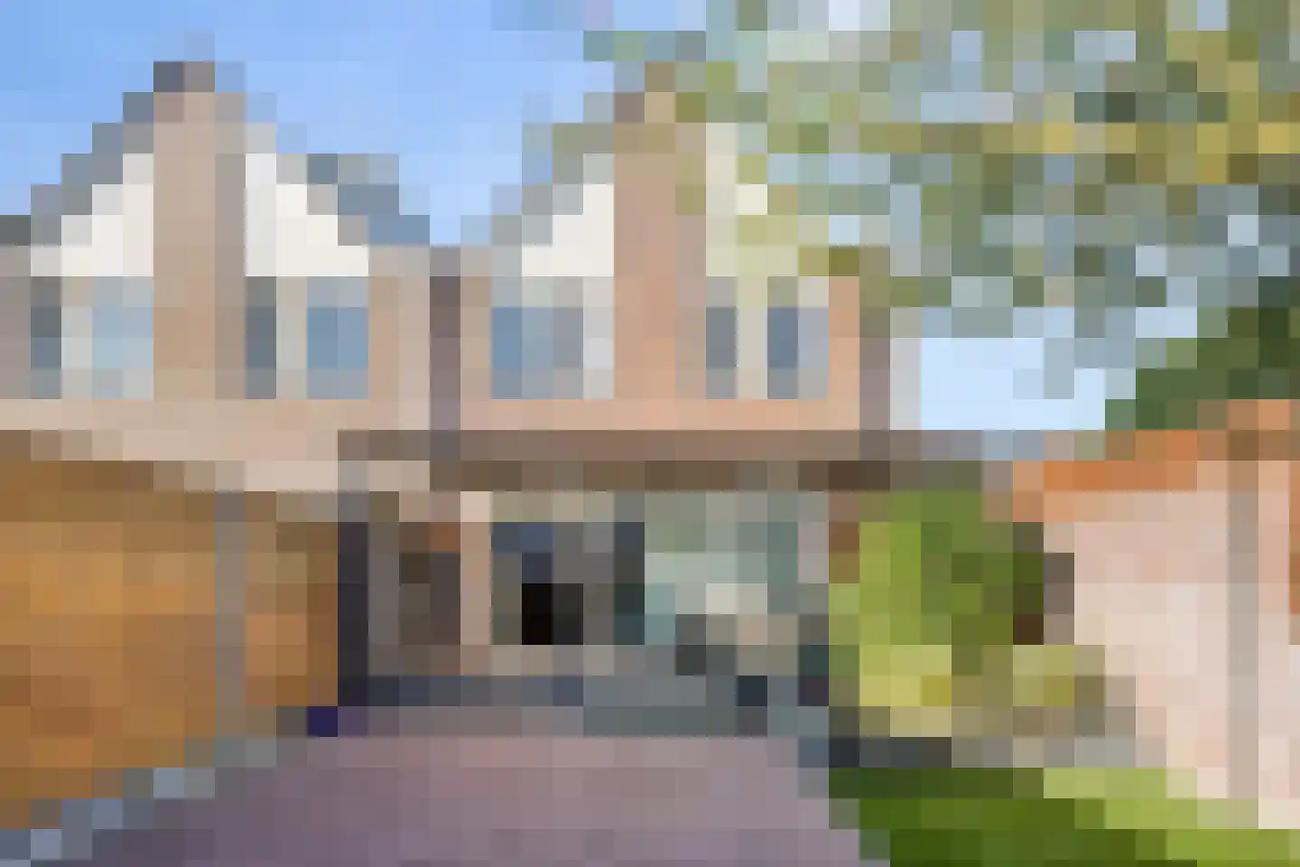 Aardster 253 Alphen aan den Rijn thumbnail 8