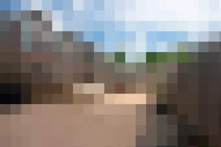 Aardster 311 Alphen aan den Rijn thumbnail 13