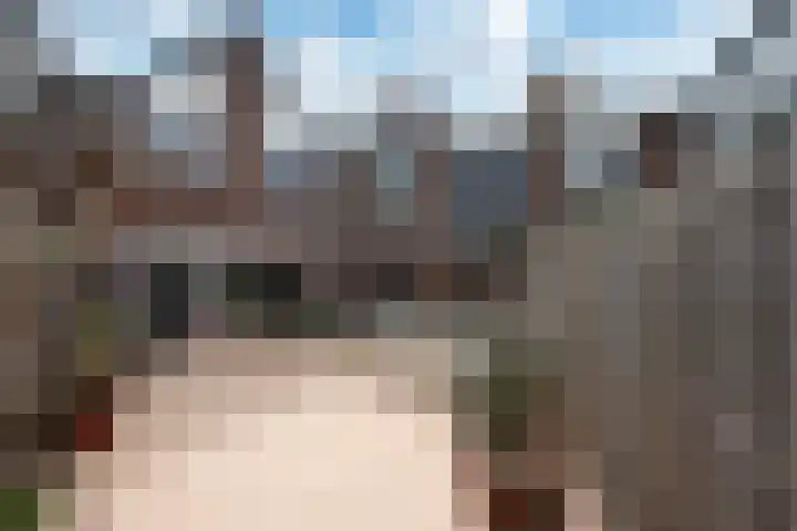 Aardster 311 Alphen aan den Rijn thumbnail 14