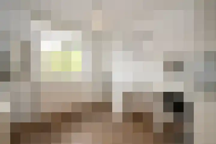 Aardster 311 Alphen aan den Rijn thumbnail 17