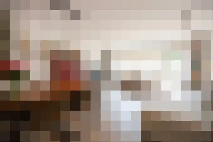 Aardster 311 Alphen aan den Rijn thumbnail 5
