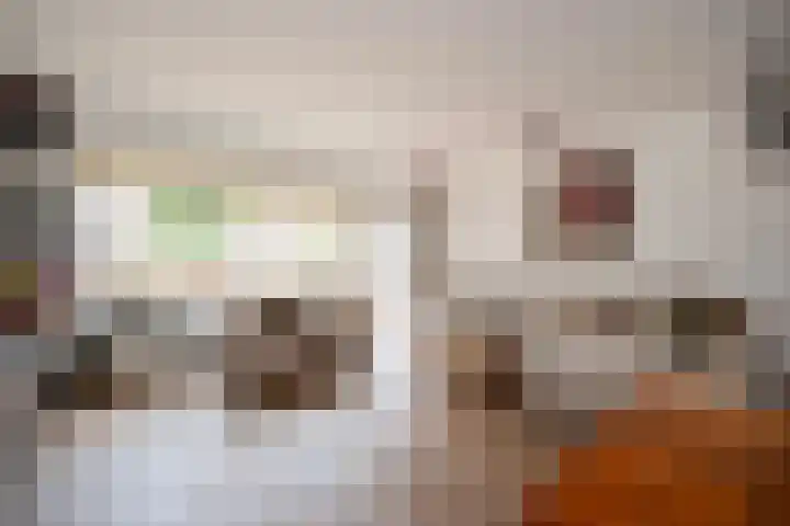 Aardster 311 Alphen aan den Rijn thumbnail 6