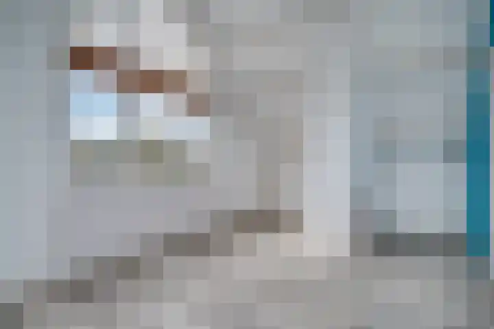 Aarhuispad 45 Rotterdam thumbnail 17