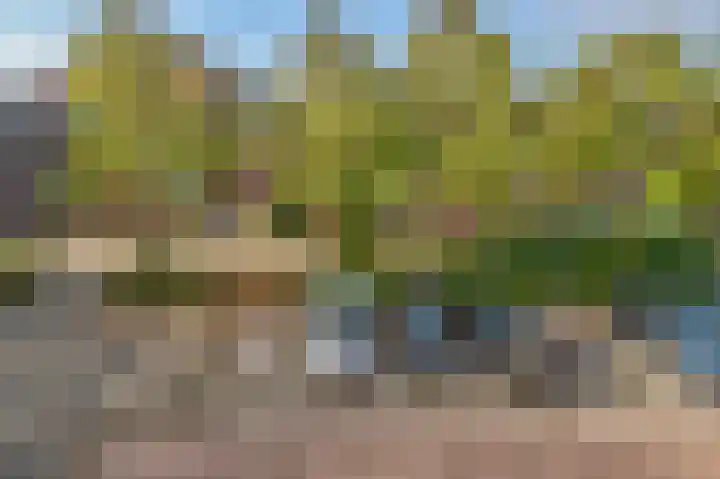Aarhuispad 45 Rotterdam thumbnail 22