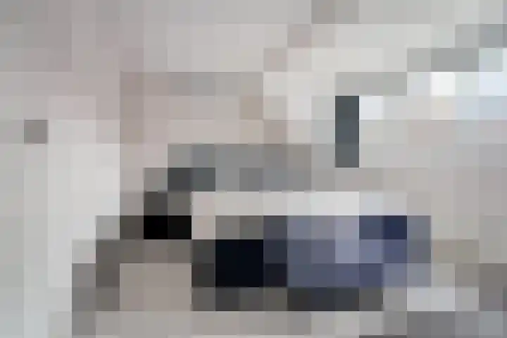 Aarhuispad 50 Rotterdam thumbnail 11