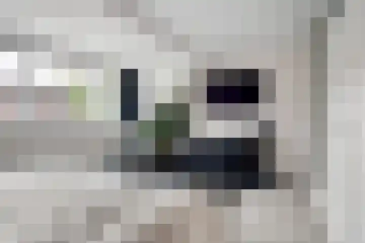 Aarhuispad 50 Rotterdam thumbnail 14