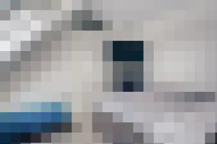 Aarhuispad 50 Rotterdam thumbnail 25