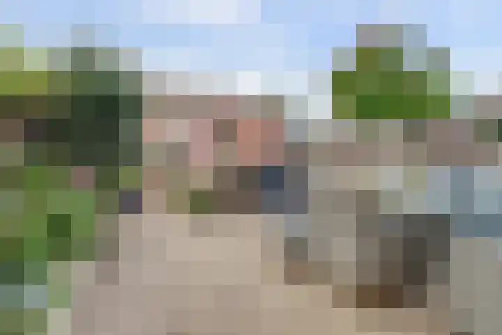 Aarhuispad 50 Rotterdam thumbnail 29