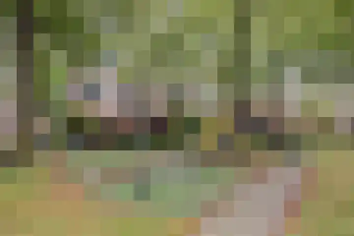 Aarhuispad 50 Rotterdam thumbnail 37