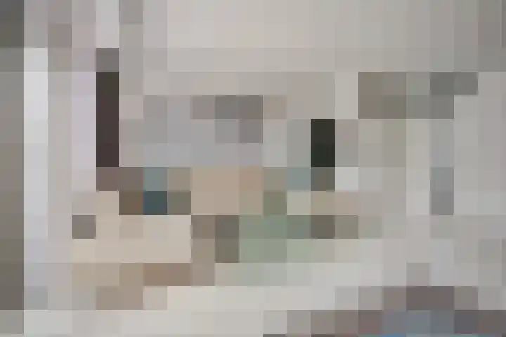 Aarhuispad 50 Rotterdam thumbnail 5
