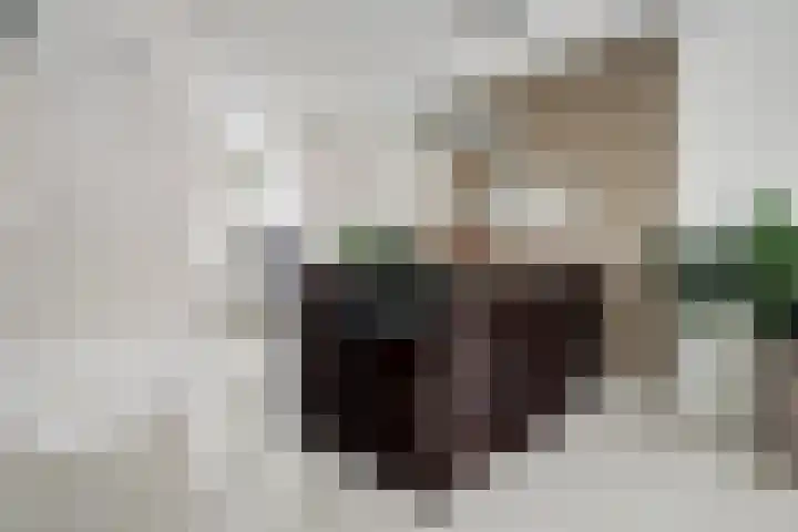 Aarhuispad 50 Rotterdam thumbnail 6