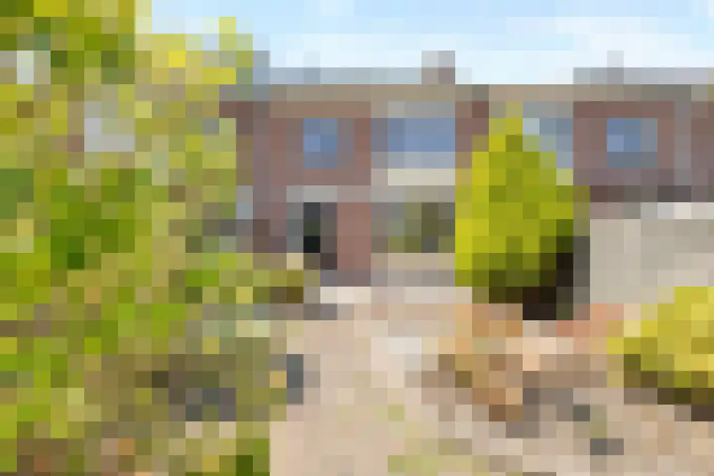 Aarjen Lourisz Sinjewelplantsoen 9 Den Helder thumbnail 27