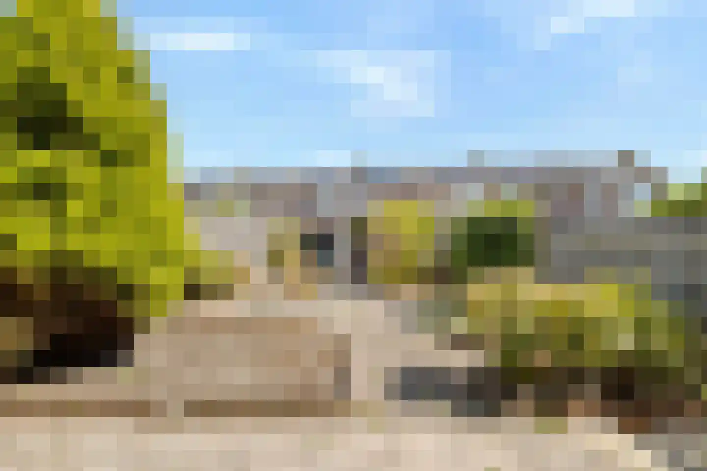 Aarjen Lourisz Sinjewelplantsoen 9 Den Helder thumbnail 28