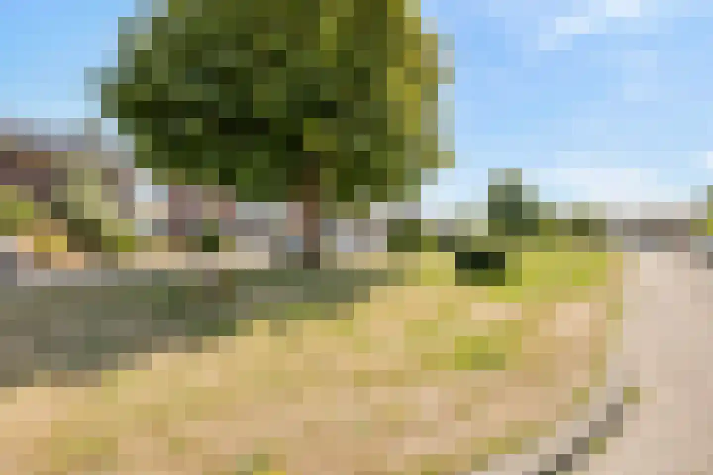 Aarjen Lourisz Sinjewelplantsoen 9 Den Helder thumbnail 30