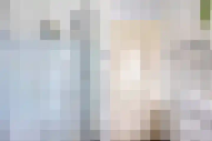 Aarlanderveenstraat 23 Zoetermeer thumbnail 30