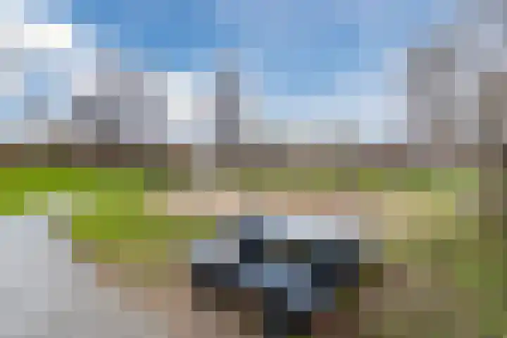 Aarlanderveenstraat 71 Zoetermeer thumbnail 50