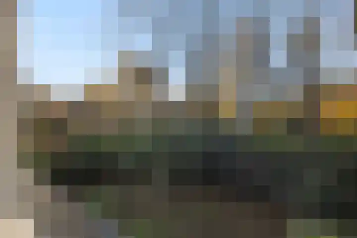 Aarle-Rixtelseweg 38 Helmond thumbnail 37