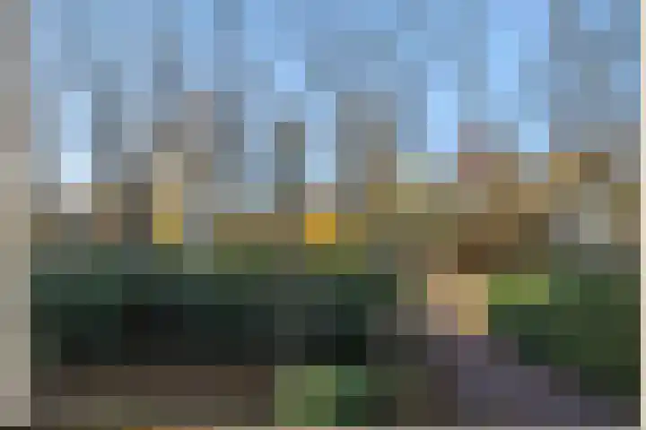 Aarle-Rixtelseweg 38 Helmond thumbnail 38