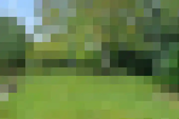 Aarle-Rixtelseweg 38 Helmond thumbnail 47