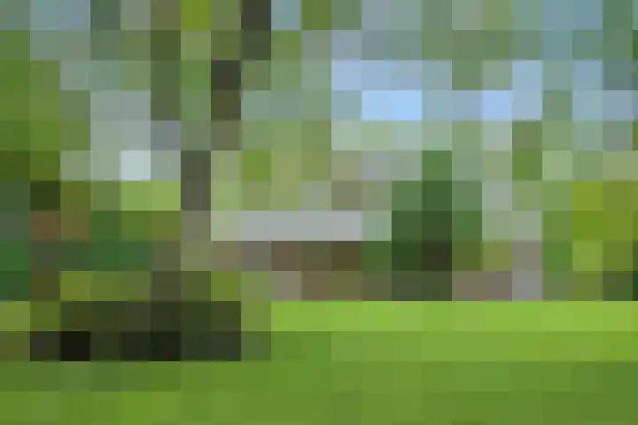 Aarle-Rixtelseweg 38 Helmond thumbnail 49