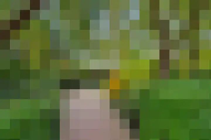 Aarle-Rixtelseweg 38 Helmond thumbnail 6