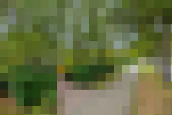 Aarle-Rixtelseweg 38 Helmond thumbnail 7