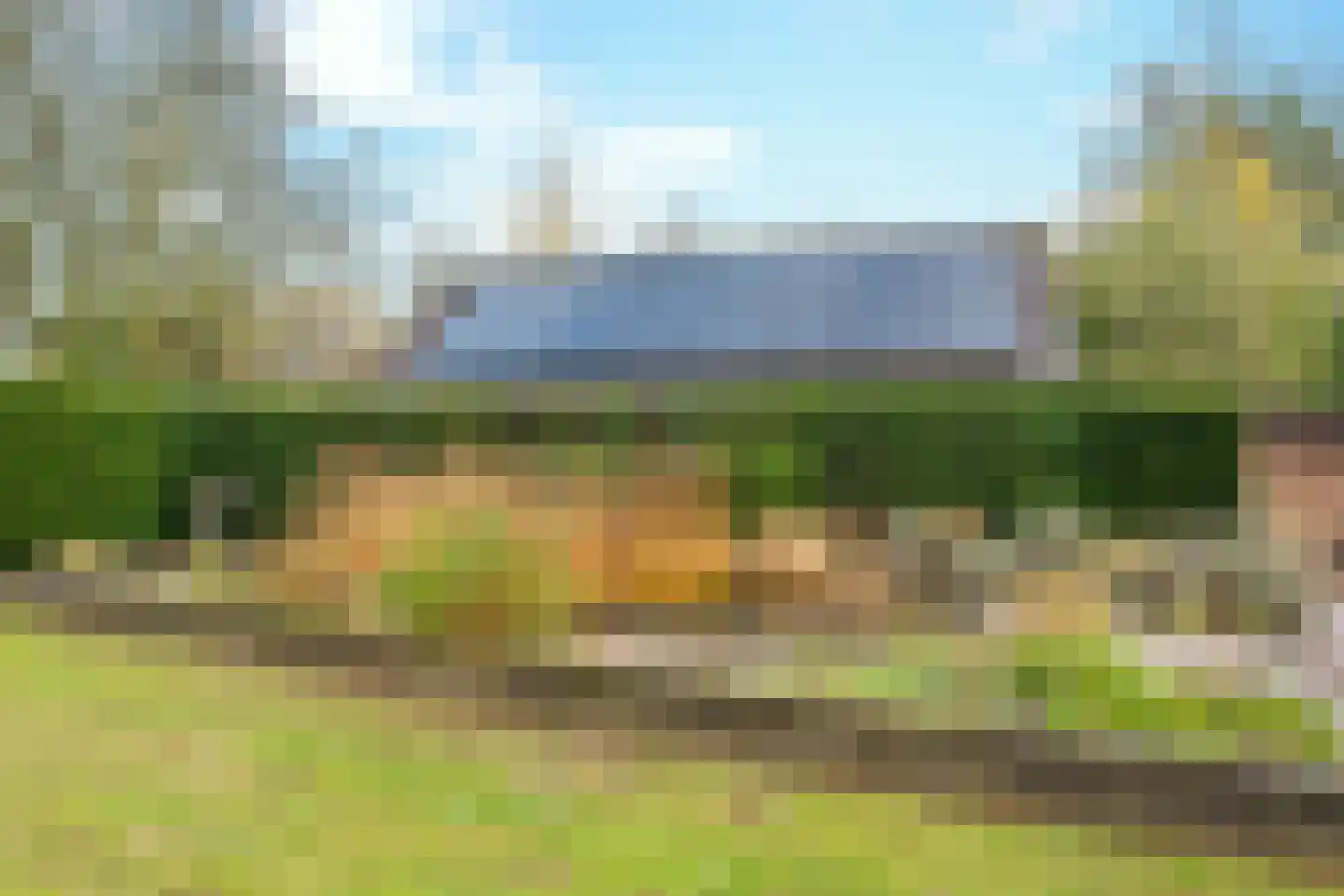 Aarle-Rixtelseweg 69 Helmond thumbnail 27