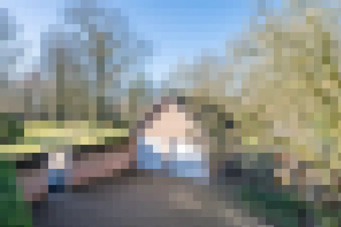 Aarle-Rixtelseweg 69 Helmond thumbnail 28