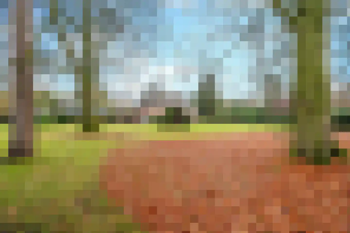 Aarle-Rixtelseweg 69 Helmond thumbnail 29