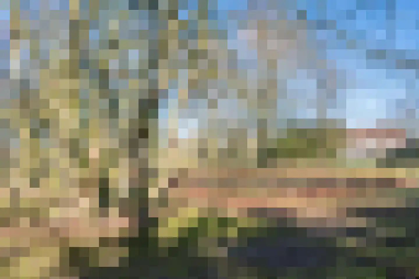 Aarle-Rixtelseweg 69 Helmond thumbnail 33