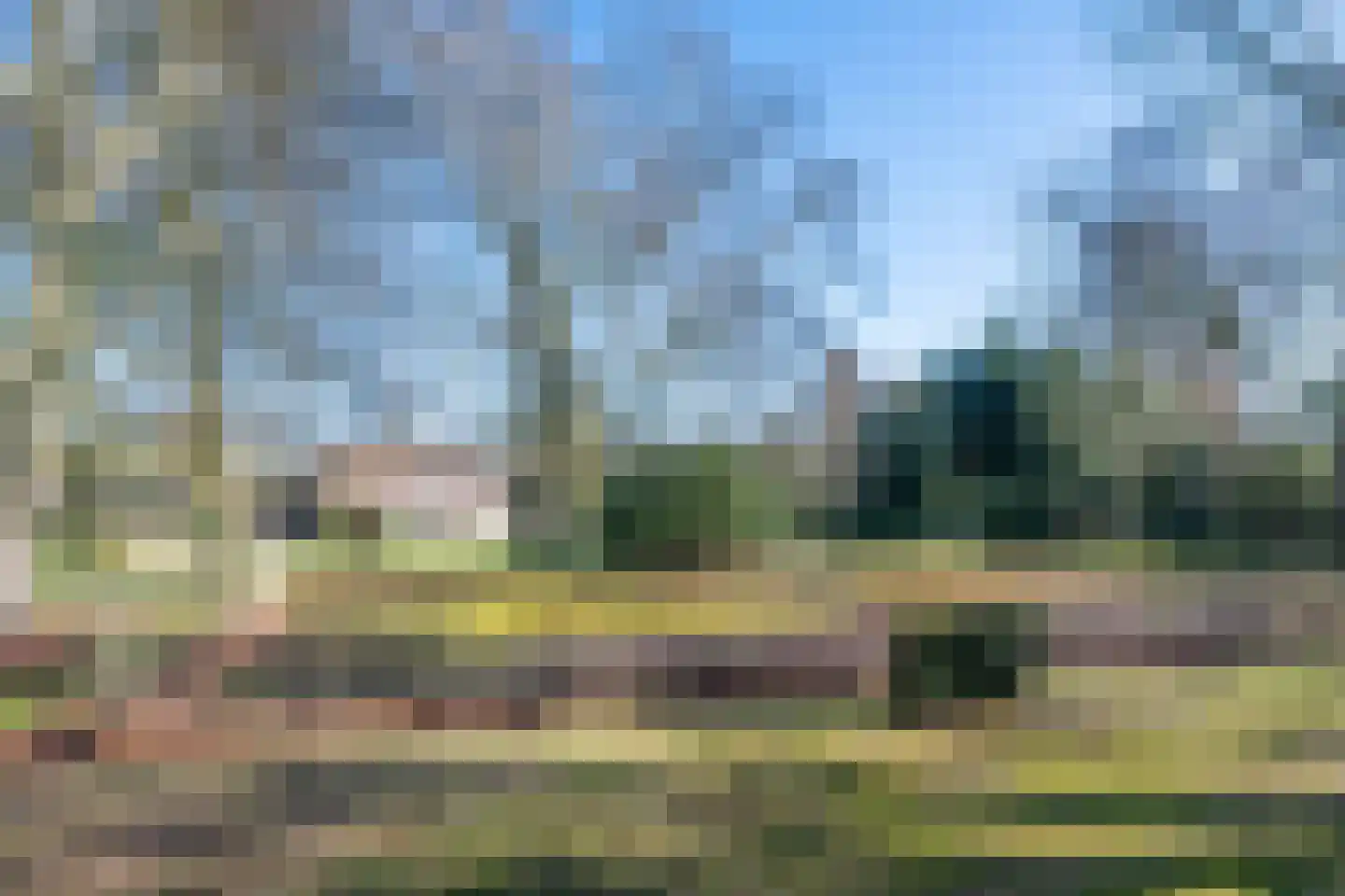 Aarle-Rixtelseweg 69 Helmond thumbnail 6