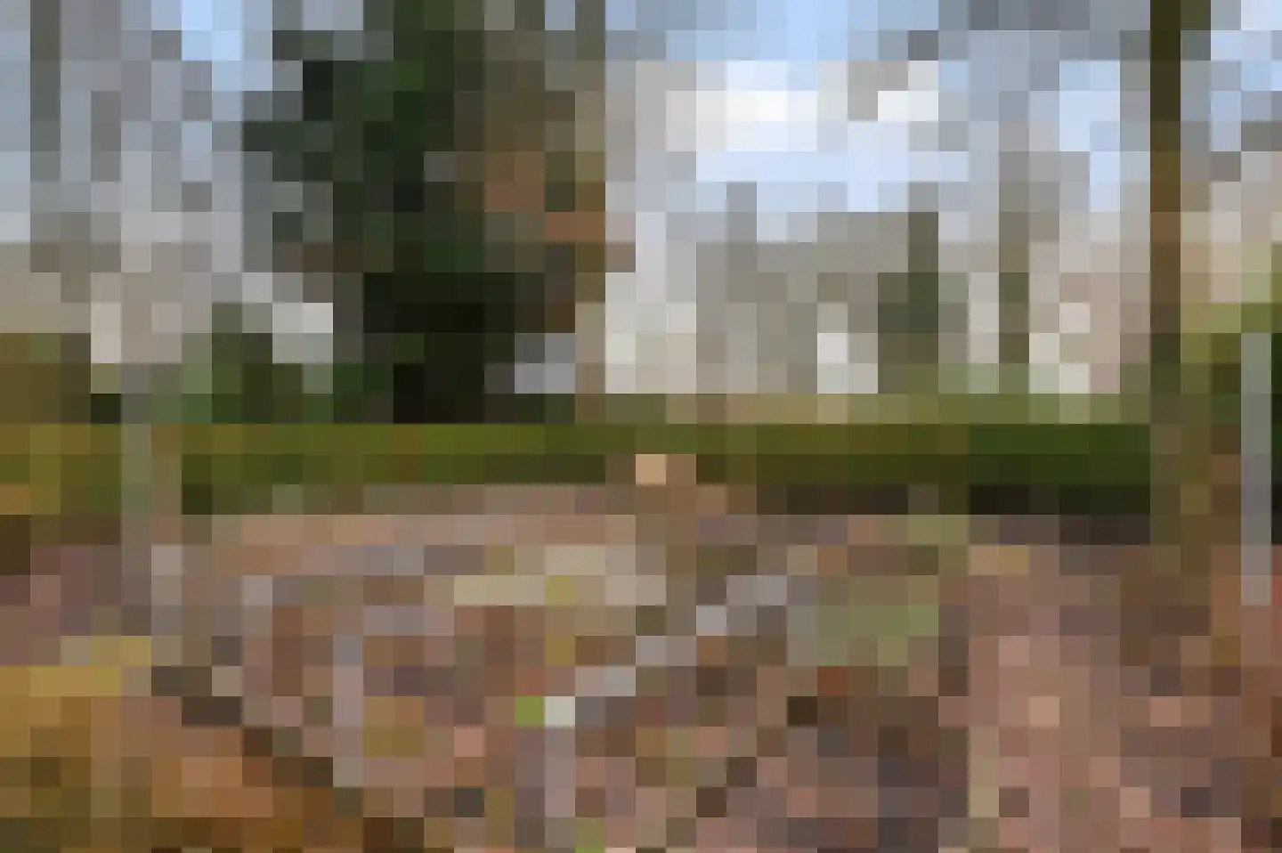 Aarlesche Erven 130 Best thumbnail 29