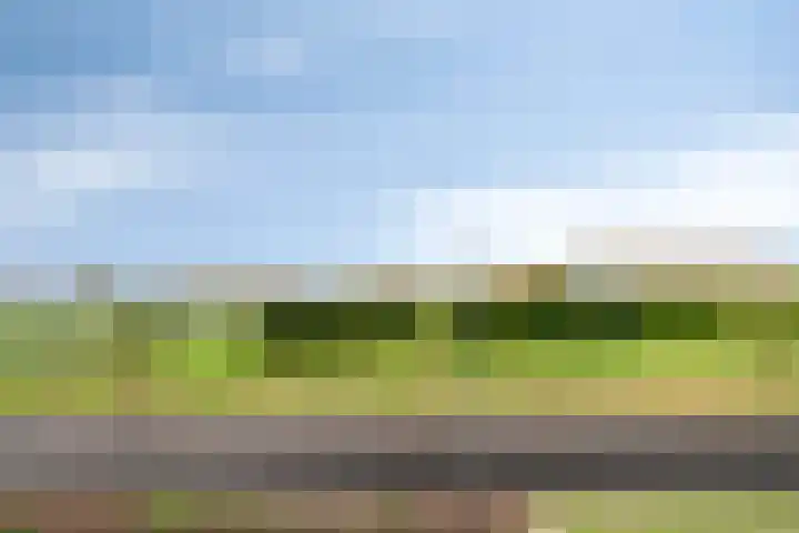 Aarlesche Erven 130 Best thumbnail 49