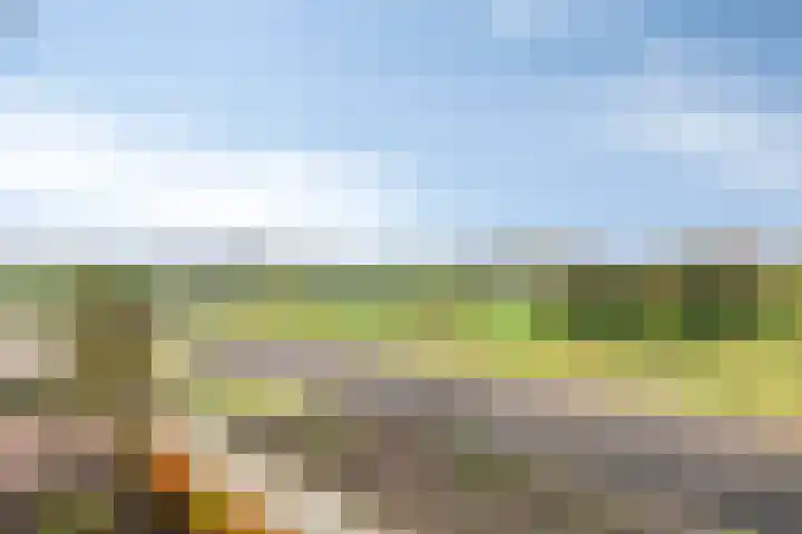 Aarlesche Erven 130 Best thumbnail 5