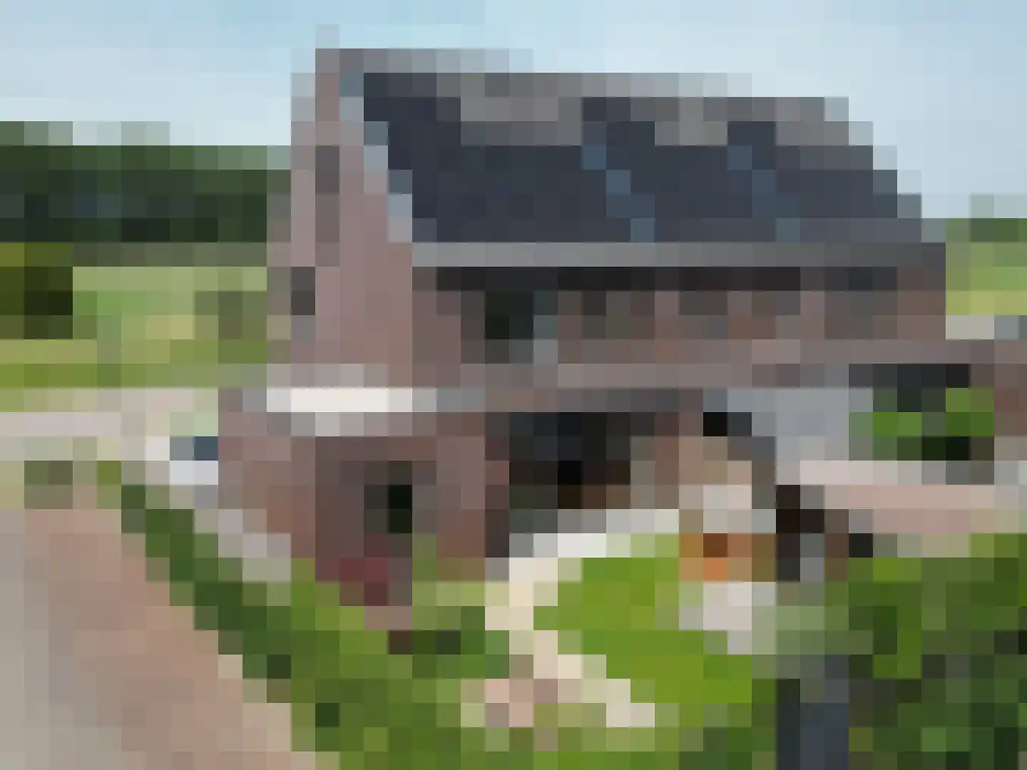 Aarlesche Erven 134 in Best