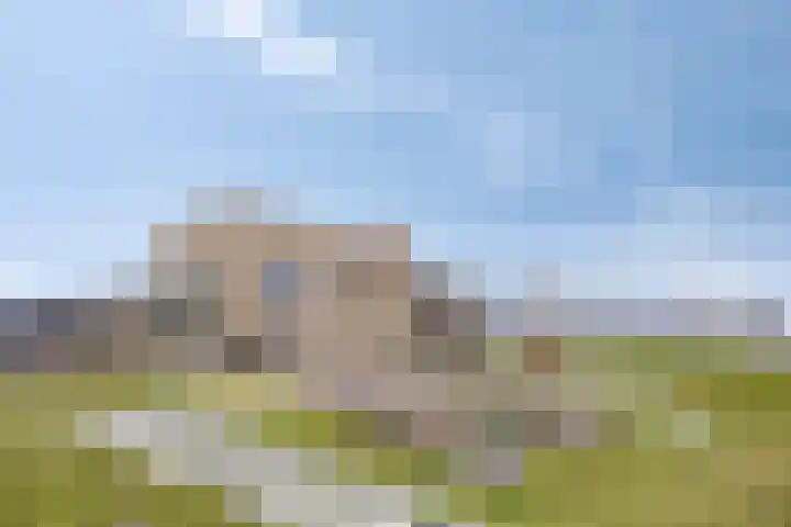 Aarlesche Erven 18 Best thumbnail 32