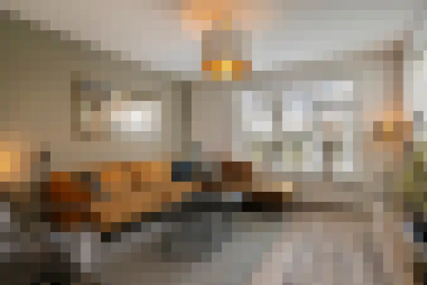 Aarleseweg 56 Best thumbnail 13