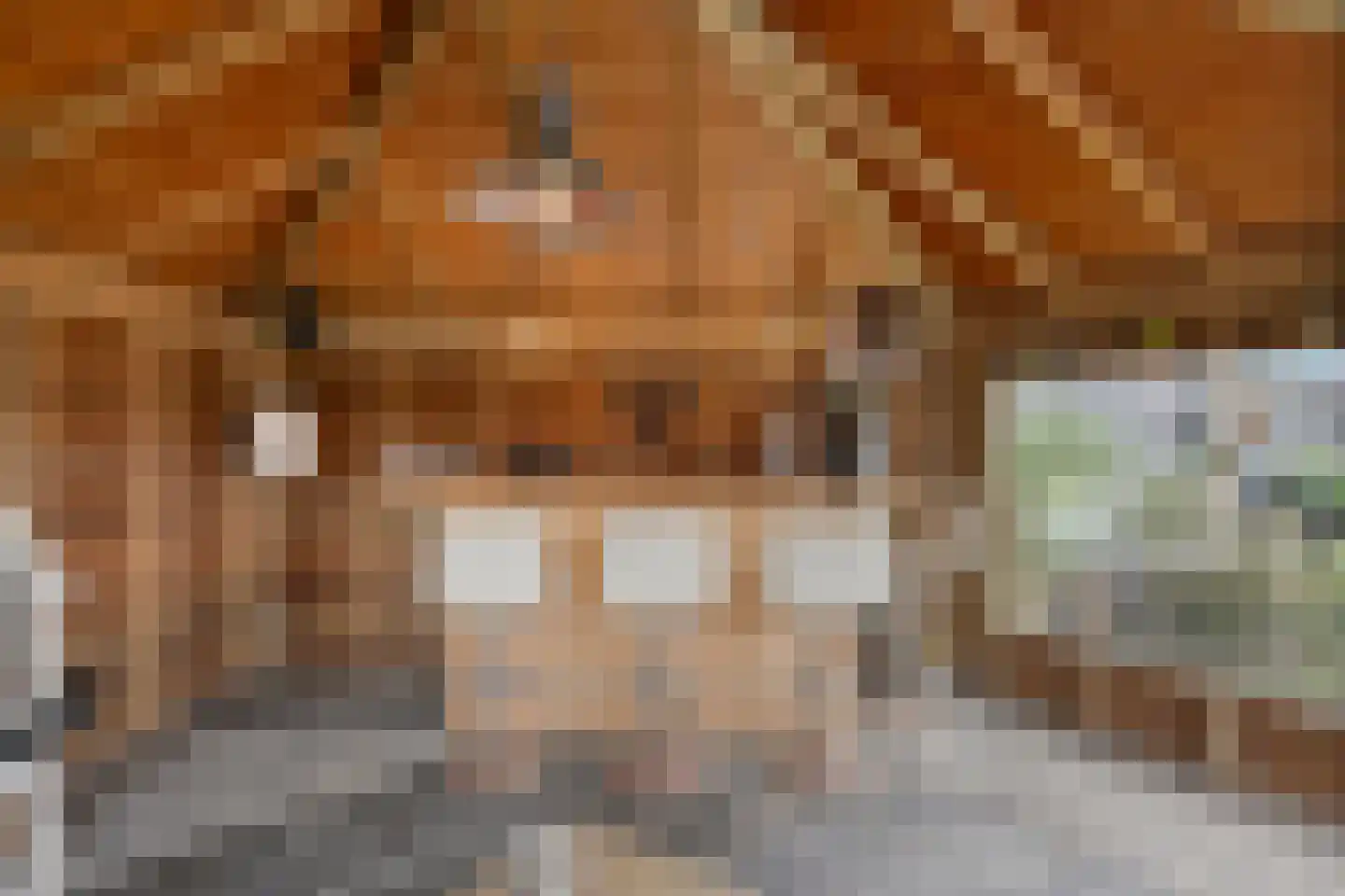 Aarleseweg 56 Best thumbnail 39