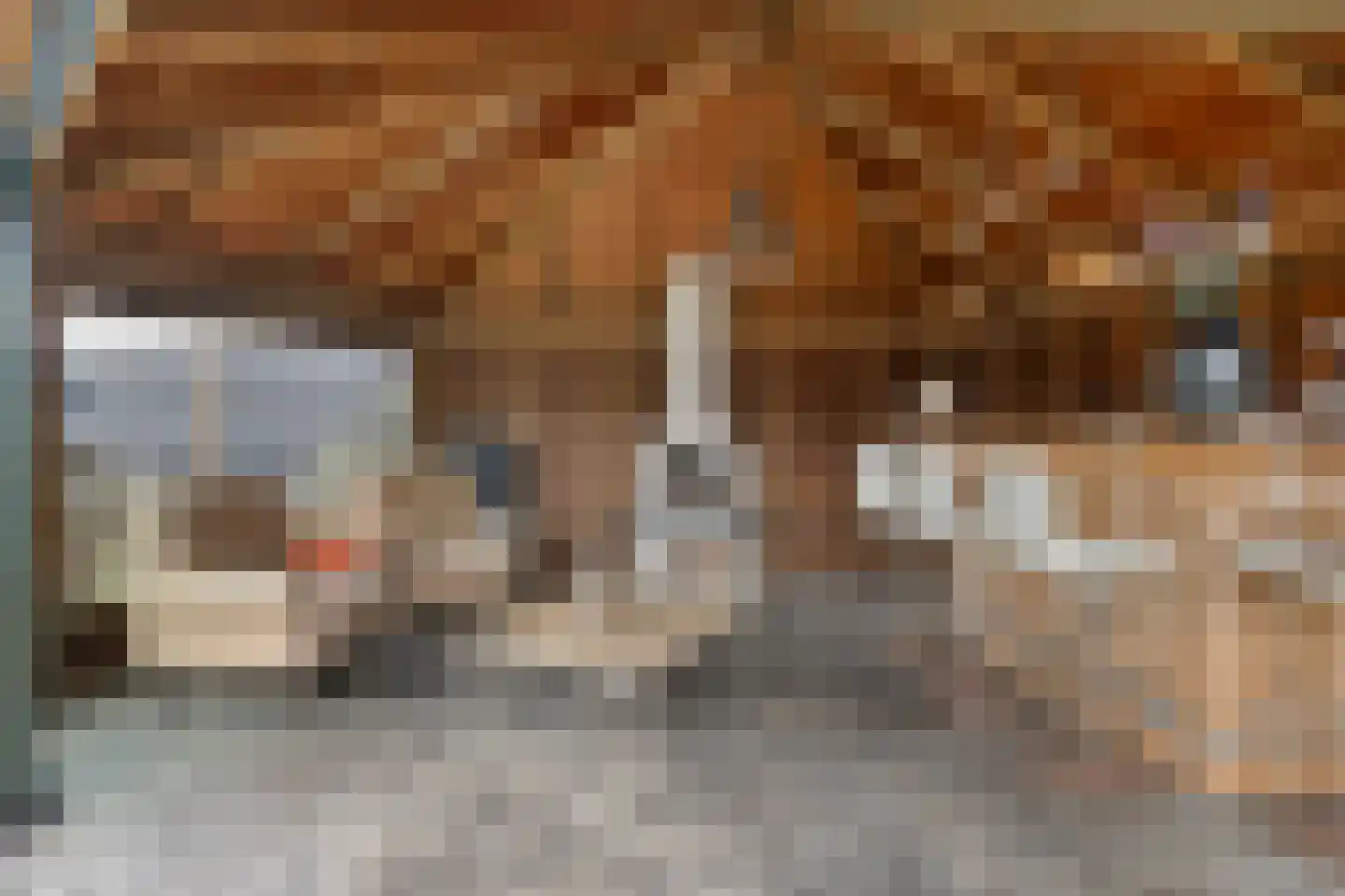 Aarleseweg 56 Best thumbnail 4