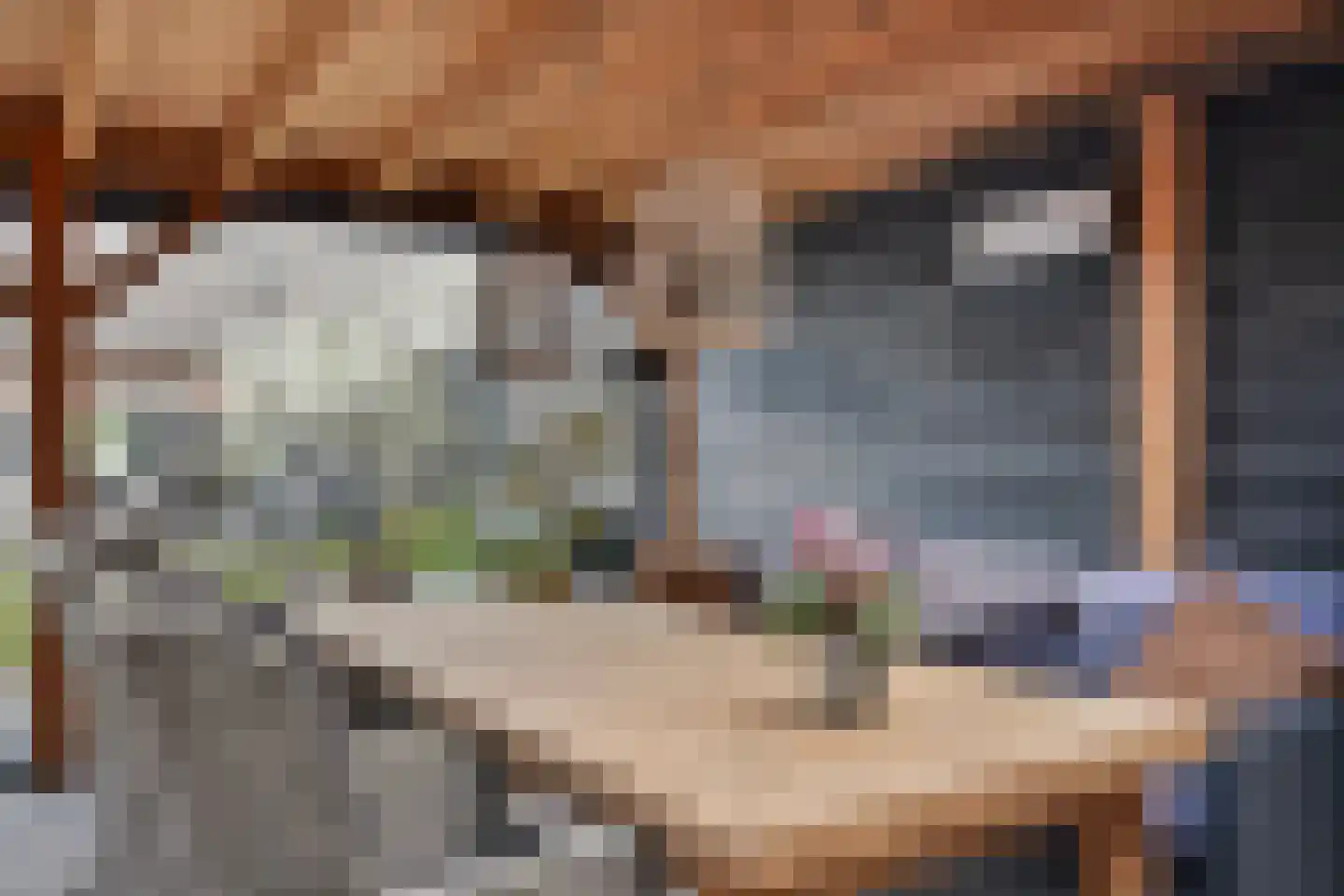 Aarleseweg 56 Best thumbnail 42